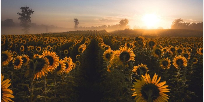 1920x1080 75+ Beautiful Sunrise Wallpapers on WallpaperPlay