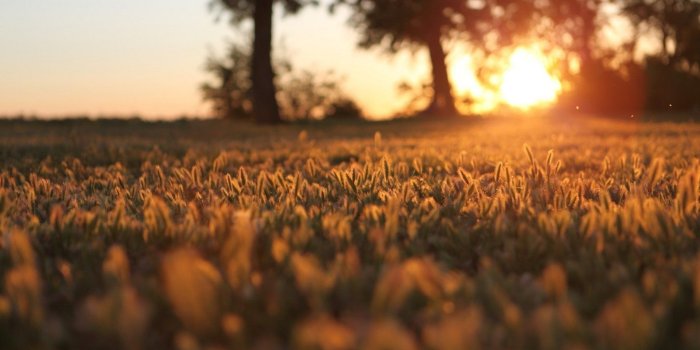 1920x1080 Morning Sun Hd Wallpaper Morning - Hd Wallpapers Of Morning (#319260