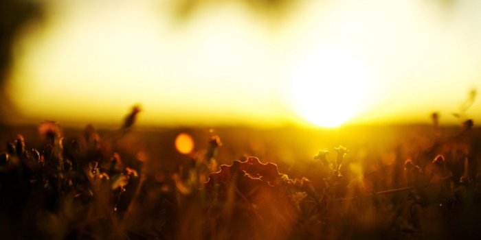 1440x960 Morning Sunlight HD Wallpaper, Background Images