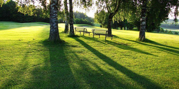 2880x1800 Benches in the morning sun wallpaper - Nature wallpapers - #15110