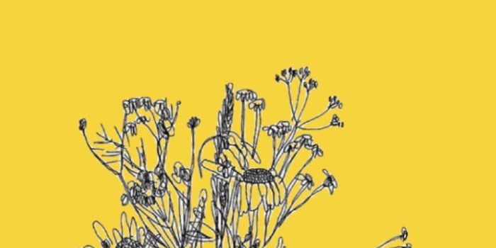 722x1280 yellow aesthetic | ☀︎Sunshine Dust☀︎ | Yellow, Shades of yellow