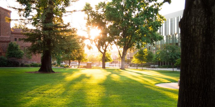 6016x3384 Morning Sun 4K wallpaper