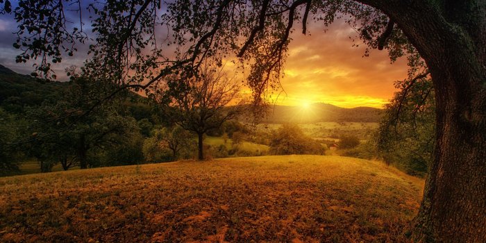 2560x1440 2560x1440 Tree Sun Aesthetic Dawn Landscape Panorama 1440P