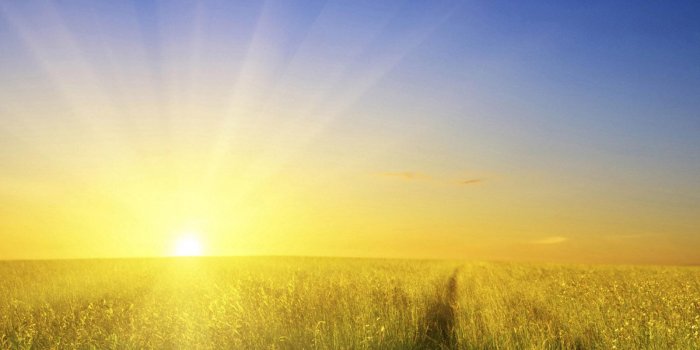 1600x1200 nature-morning-sun-on-the-field-nature-landscape-hd-wallpaper-nature