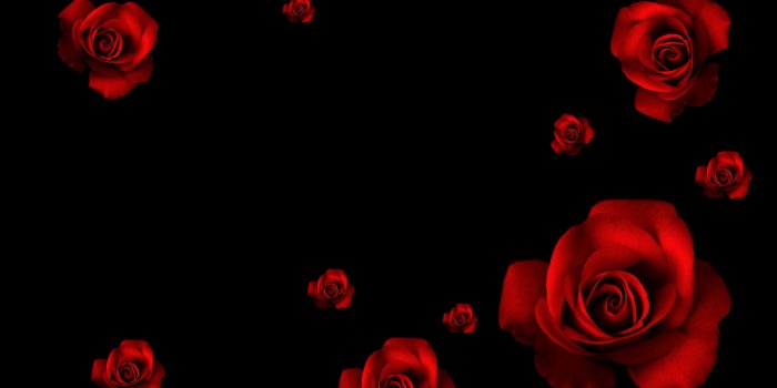 5120x3413 150+ Ideas Black Rose Wallpaper 2019 | Pomelo Tapet