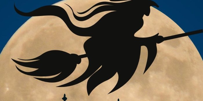 1080x1920 Halloween Witch Flying Broom Over Moon