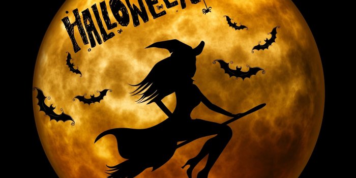 2560x1600 Halloween Witch on Broom Orange ❤ 4K HD Desktop Wallpaper for 4K