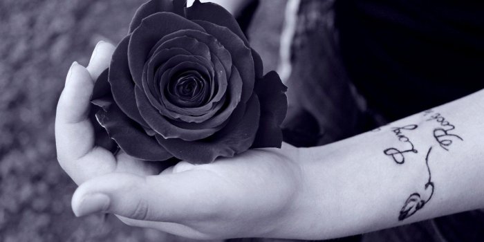 1920x1080 Black Rose Wallpapers