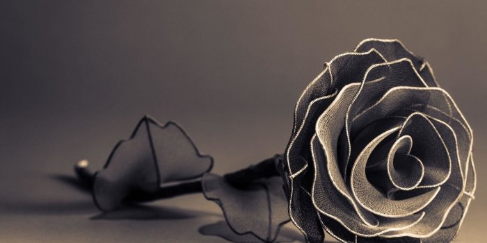 1920x1200 Simple Black Roses Wallpaper (64+ Images) 2019 | Pomelo Tapet
