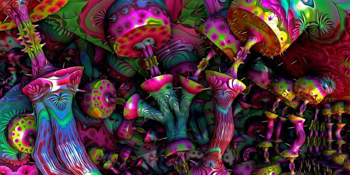 2560x1600 Psychedelic Weed Wallpaper (99+ images in Collection) Page 3