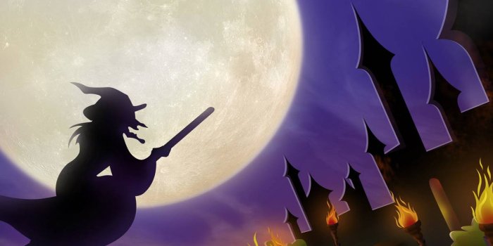 1190x1200 Halloween Witch Wallpaper by Dyl5202 - 82 - Free on ZEDGE™