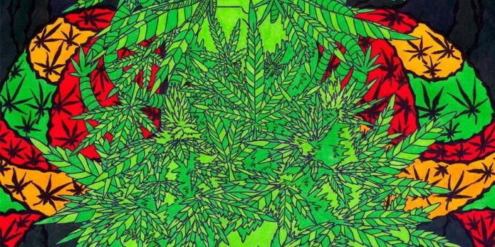 900x1274 Weed Trippy Wallpapers ✓ The Galleries of HD Wallpaper