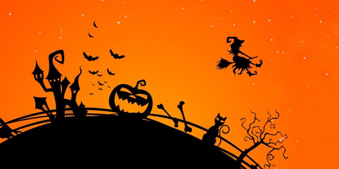 2560x1600 Halloween Creepy Bats Midnight Cat Witch Pumpkin wallpaper