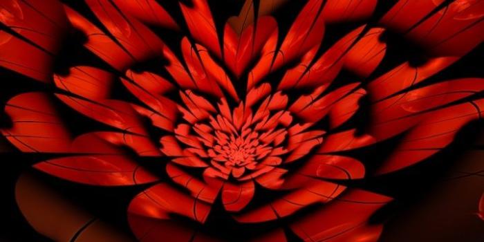 720x1280 720x1280 Heart II Galaxy s3 wallpaper