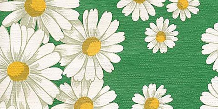 1200x1371 Vintage Original 1970s Sundaisies Wallpaper Green Original Daisies
