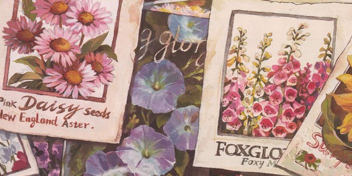 1500x1316 Flower Seeds Packets Vintage Wallpaper Border Retro Design, Roll 15
