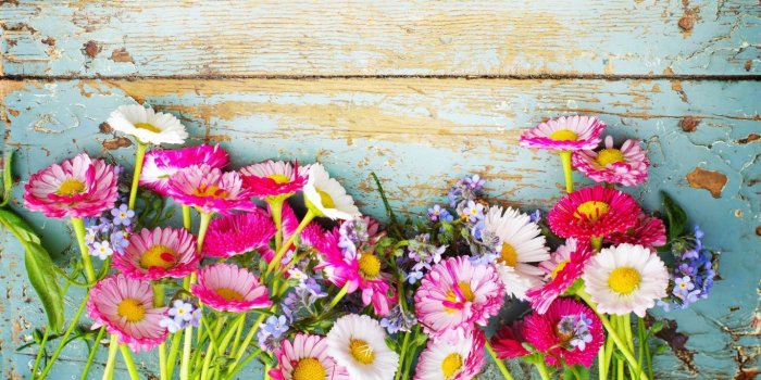 1366x768 Vintage Wallpapers Flowers
