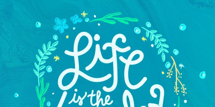 1242x2208 69+ Pixar Up Wallpapers on WallpaperPlay