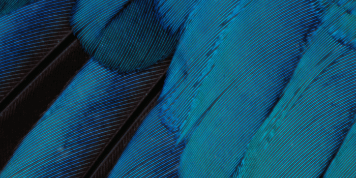 1152x2048 Wallpaper Weekends: iOS 9 Wallpaper