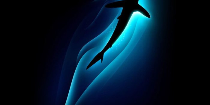 1080x1920 Cool iPod 5 Wallpapers (61+ images)