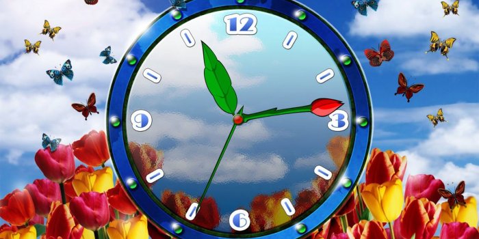 1280x800 Tulip Clock screensaver - download natural flower clock screensaver!