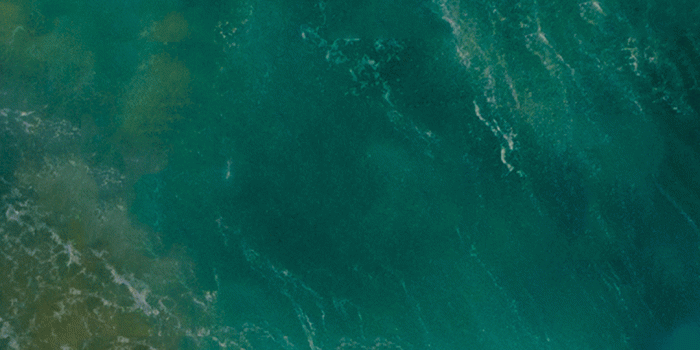 1080x1920 17804 iphone ios wallpaper