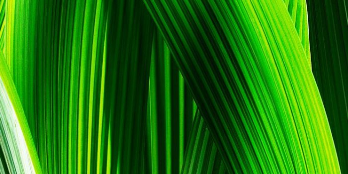 744x1392 Ios 7 Default Wallpaper Hd New In IOS 7: Dynamic And Panoramic