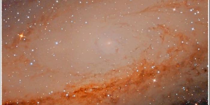 750x1199 M-31 Andromeda Spiral Galaxy 4K Mobile Phone Wallpaper White Border