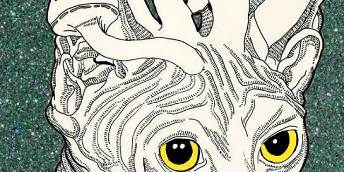 750x1334 40+ Trippy Pastel Wallpapers - Download at WallpaperBro