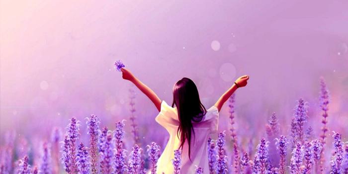 1920x1200 76+ Lavender Wallpapers on WallpaperPlay