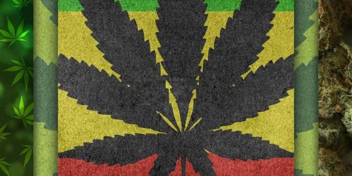 1080x1920 Weed Wallpaper HD 2018 for Android - APK Download