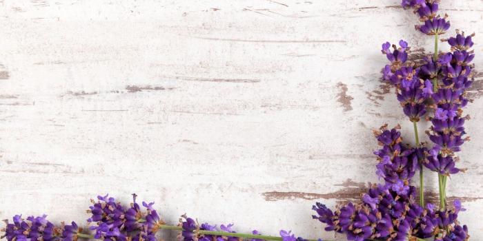 1332x850 Wallpaper branches, wood, flowers, lavender, lavender images for