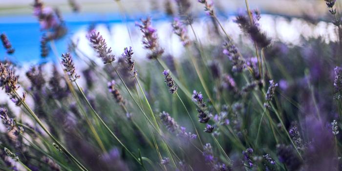 2000x1250 Desktop wallpaper: June 2016 • Jus Medic