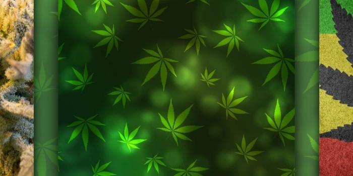 1080x1920 Weed Wallpaper HD 2018 for Android - APK Download