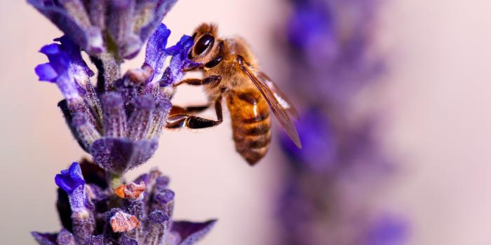 2736x1824 WallpapersWide.com | High Resolution Desktop Wallpapers tagged with