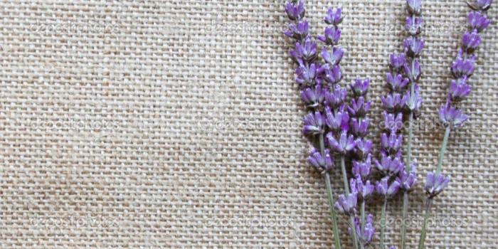 1024x928 Lavender Wallpaper (49+ images) on Genchi.info