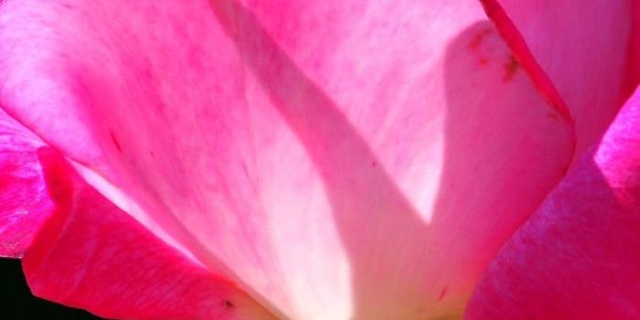 750x1334 HD wallpapers wallpaper iphone yg bagus www.3hdlove6.gq