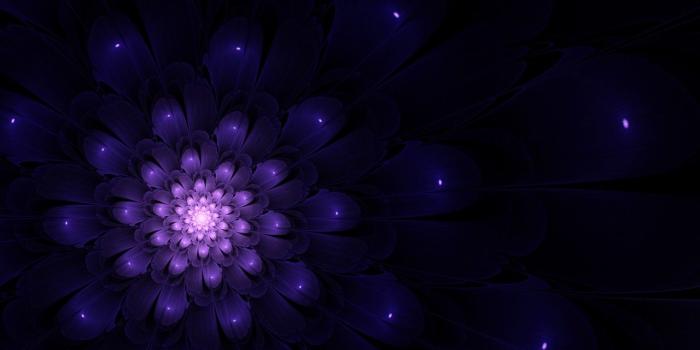 1280x720 Indigo Flower wallpapers | Indigo Flower stock photos