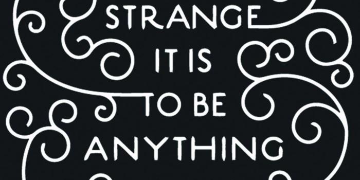 1080x1920 Mobile Wallpaper Love Pt. 2 now in 1080x1920 | typography | Zen