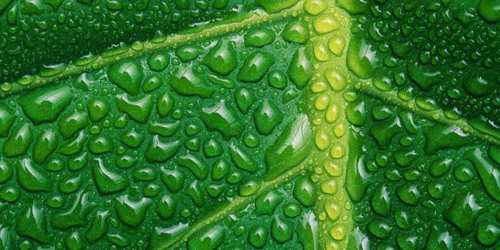 1920x1200 30 HD Green Wallpapers