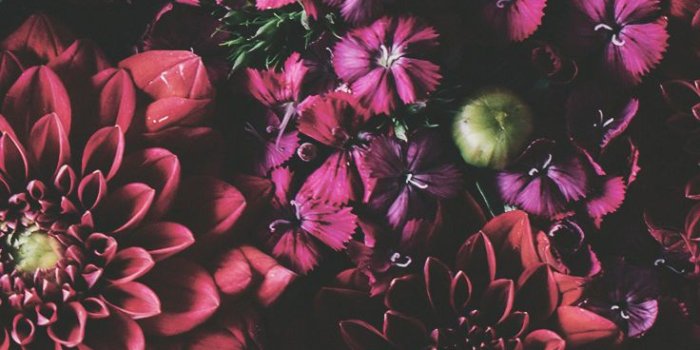736x1308 21 Pretty Wallpapers For Your New iPhone Xs Max | Preppy Wallpapers