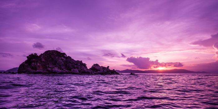 1920x1080 Purple Nature Wallpaper (44+ images)