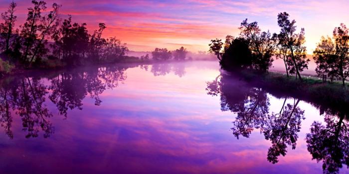 1596x987 Purple Nature Wallpaper Computer | Best Wallpapers HD | wallpaper
