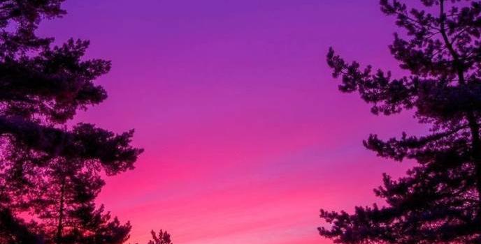 688x1280 Purple Nature Wallpaper by Teilers12 - 01 - Free on ZEDGE™