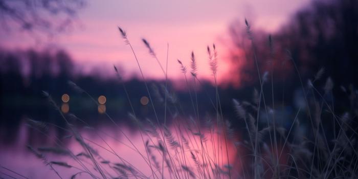 1920x1080 Wallpaper Lake, 4k, HD wallpaper, grass, sunset, purple, Nature #5173