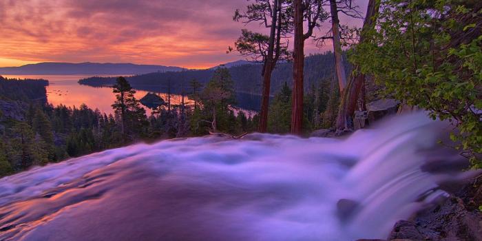 1680x1050 Free Wallpaper - Free Nature wallpaper - Purple Landscape Plants