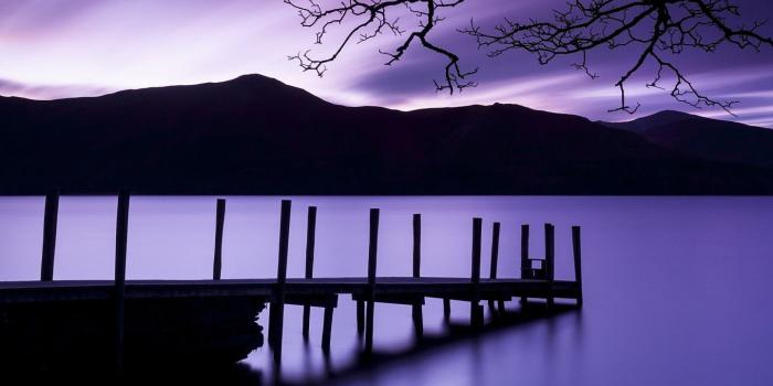 1440x900 Free Wallpaper - Free Nature wallpaper - Purple Landscape Plants