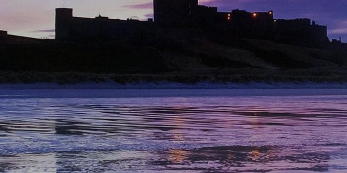 828x1792 iPhone XR Wallpaper City Bridge Purple River Nature Wallpaper HD 828