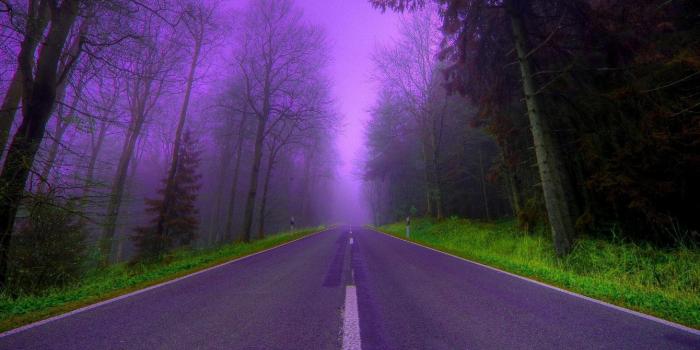 2560x1600 Purple Nature Wallpaper (49+ Pictures)