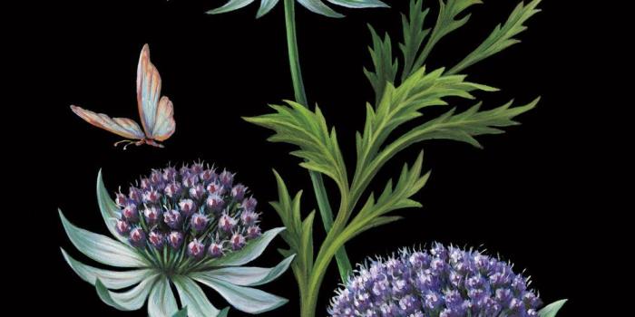 1000x1294 Indigo by NEST Fragrances #artwork #NESTFineFragrances #EauDeParfum